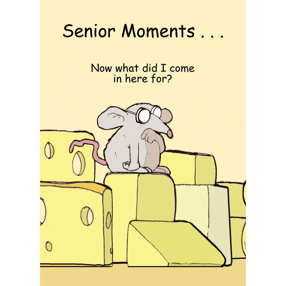 Funny Twizler Greeting Card Senior Moments Birthday Or Any Occasion Humour
