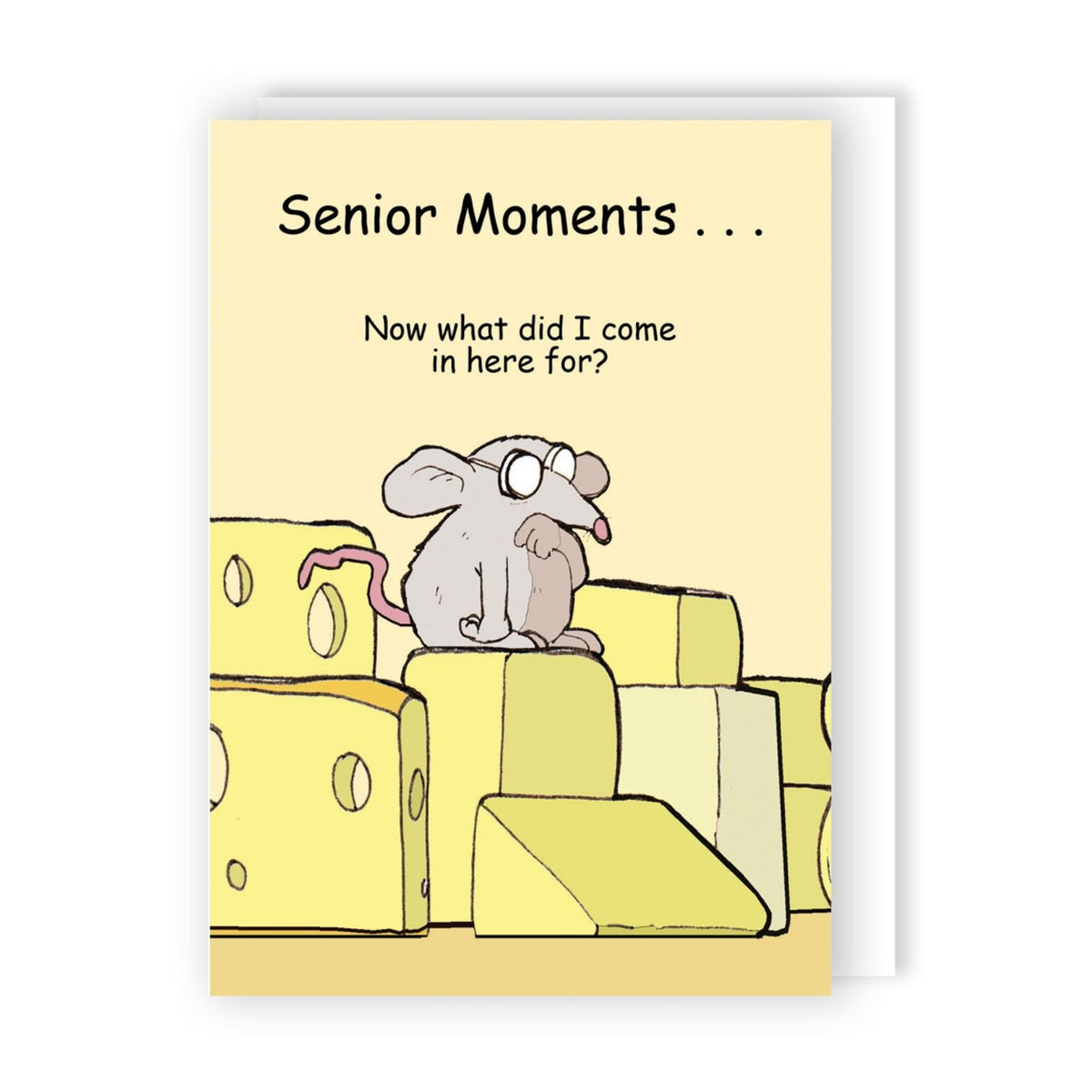Funny Twizler Greeting Card Senior Moments Birthday Or Any Occasion Humour