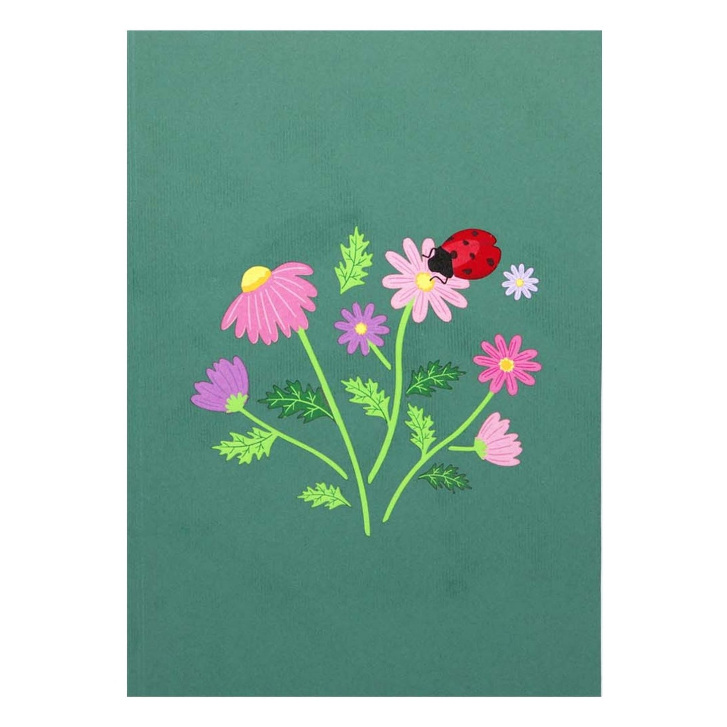 Origamo Pop-Up Greeting Card Wildflowers Handmade Fold-Out 3D Any Occasion Cards