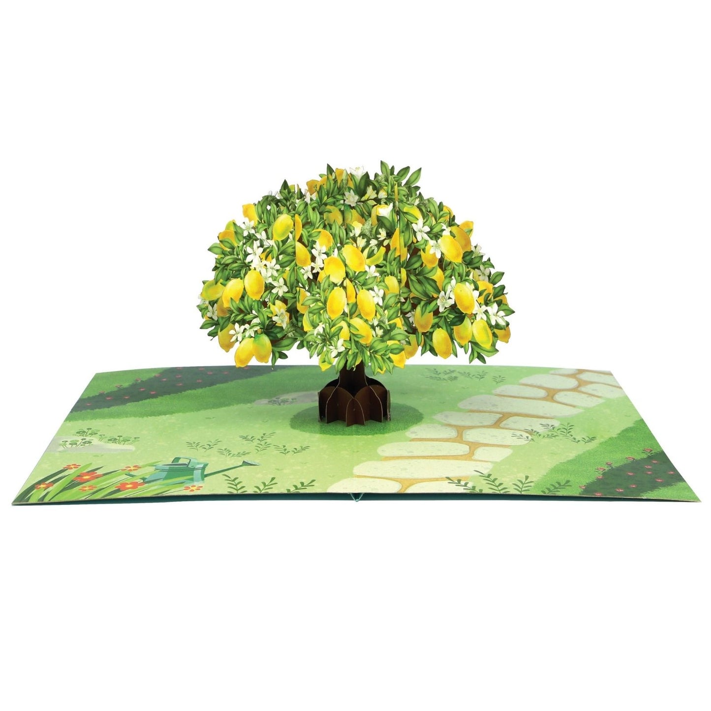 Origamo Pop-Up Greeting Card Lemon Tree Handmade Fold-Out 3D Any Occasion Cards