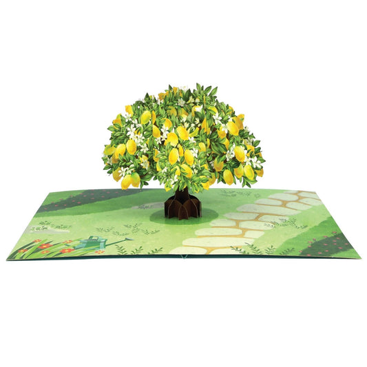 Origamo Pop-Up Greeting Card Lemon Tree Handmade Fold-Out 3D Any Occasion Cards