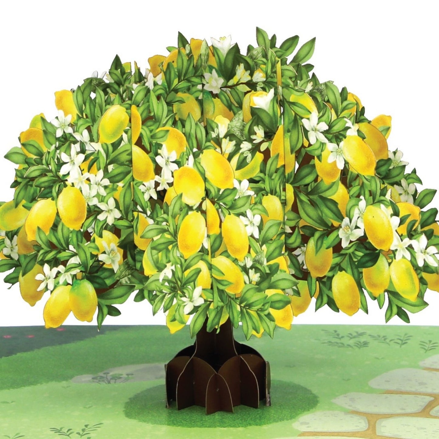 Origamo Pop-Up Greeting Card Lemon Tree Handmade Fold-Out 3D Any Occasion Cards