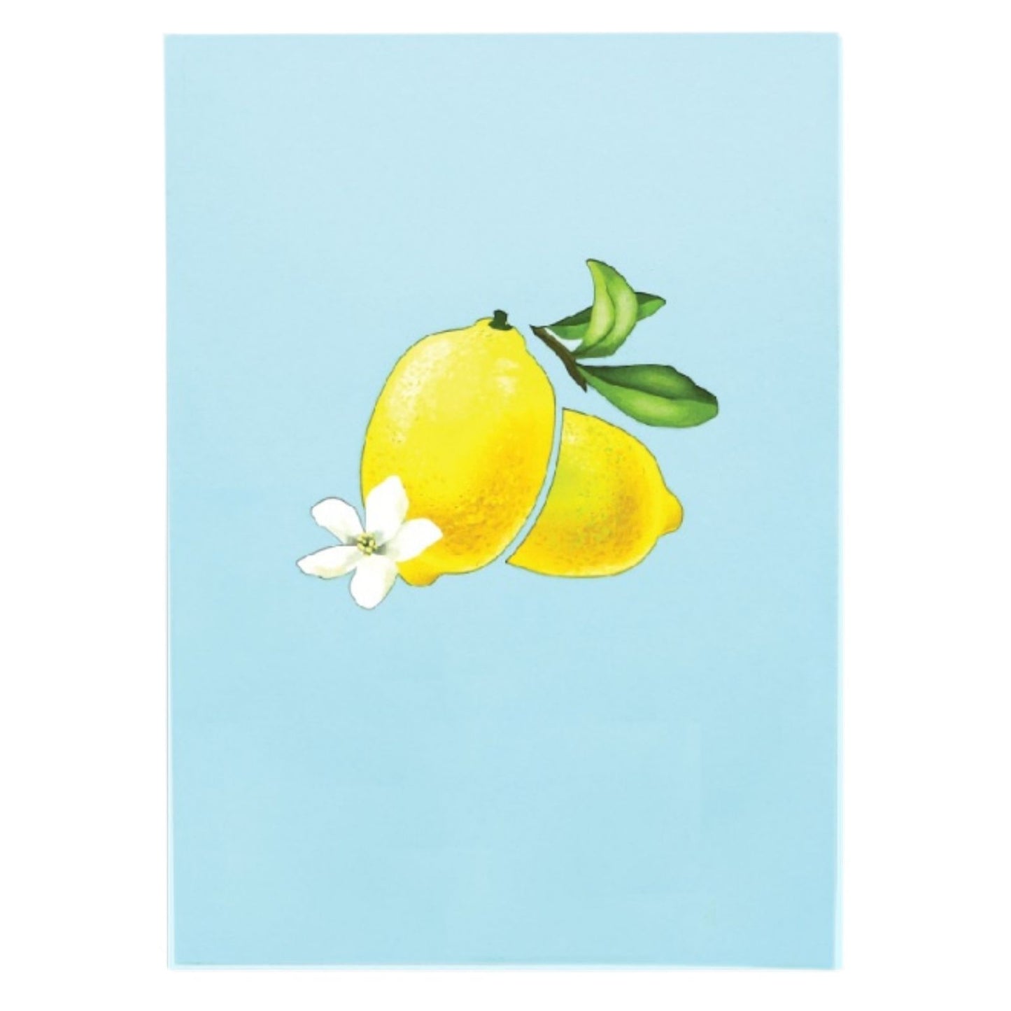 Origamo Pop-Up Greeting Card Lemon Tree Handmade Fold-Out 3D Any Occasion Cards
