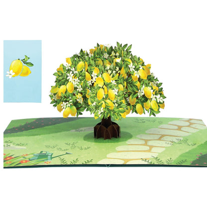 Origamo Pop-Up Greeting Card Lemon Tree Handmade Fold-Out 3D Any Occasion Cards