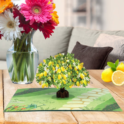 Origamo Pop-Up Greeting Card Lemon Tree Handmade Fold-Out 3D Any Occasion Cards