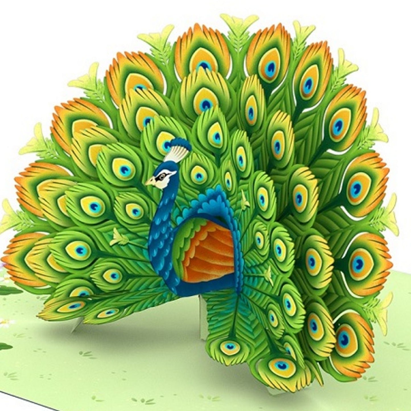 Origamo Pop-Up Greeting Card Peacock Handmade Fold-Out 3D Any Occasion Cards