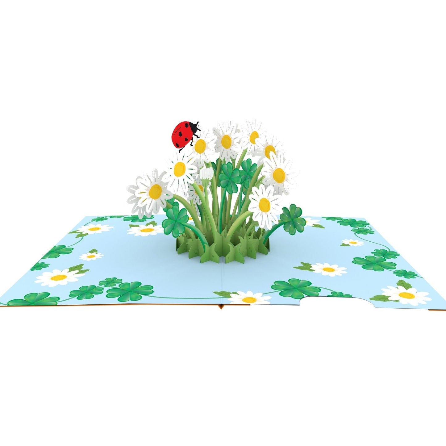 Origamo Pop-Up Greeting Card Daisy Bloom Handmade Fold-Out 3D Any Occasion Cards