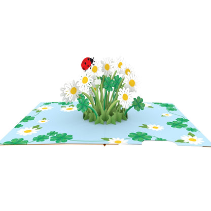 Origamo Pop-Up Greeting Card Daisy Bloom Handmade Fold-Out 3D Any Occasion Cards