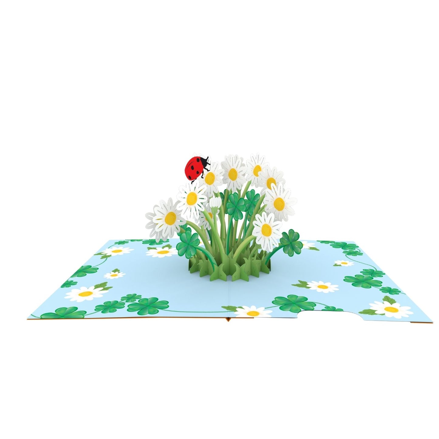 Origamo Pop-Up Greeting Card Daisy Bloom Handmade Fold-Out 3D Any Occasion Cards