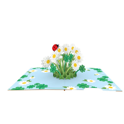 Origamo Pop-Up Greeting Card Daisy Bloom Handmade Fold-Out 3D Any Occasion Cards
