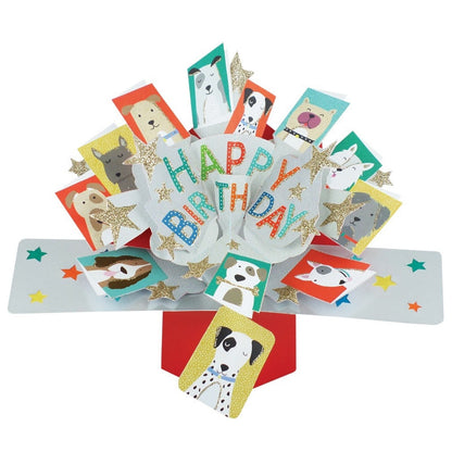 Birthday Dogs Happy Birthday Pop Up Greeting Card
