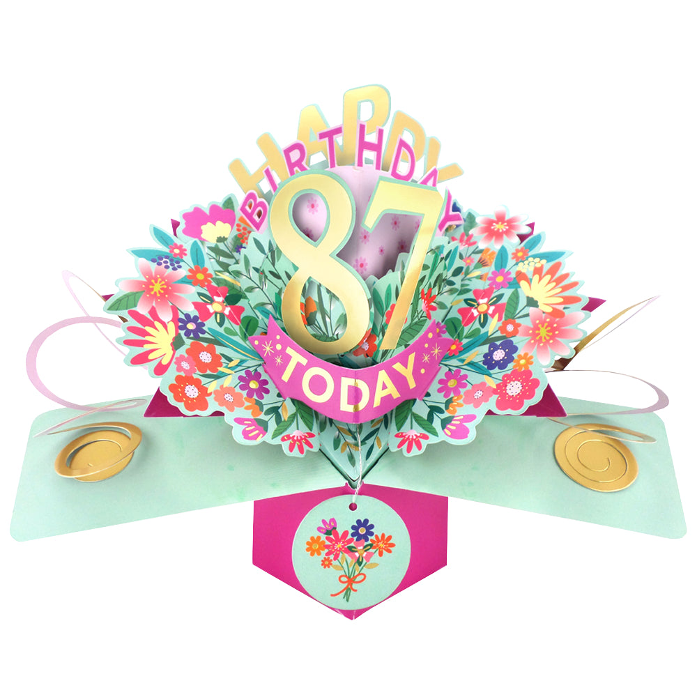 87th Birthday Card Pop Up 3D Happy Birthday Card Age 87 Today 3D For Her