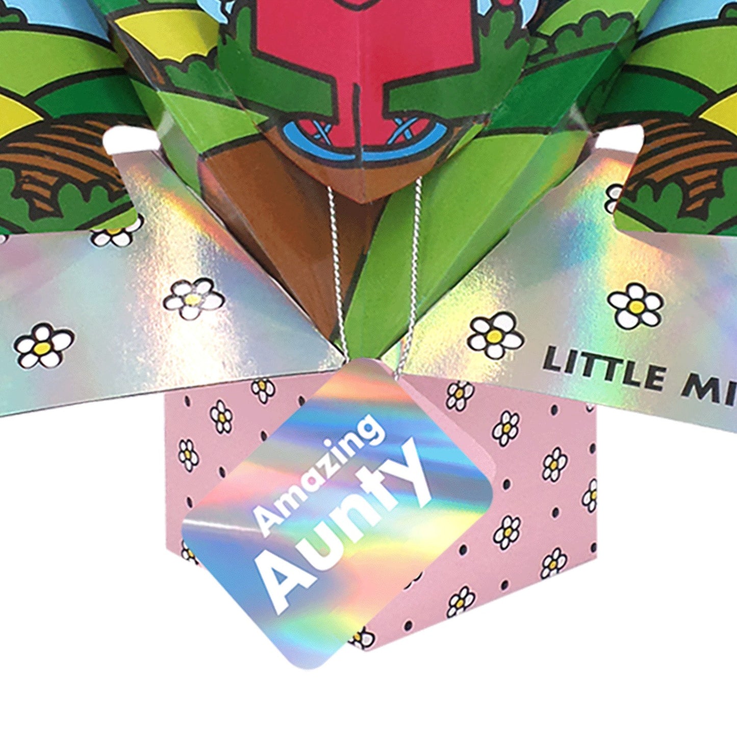 Mr. Men Little Miss Birthday Amazing  Aunty 3D Pop Up Card Keepsake Card