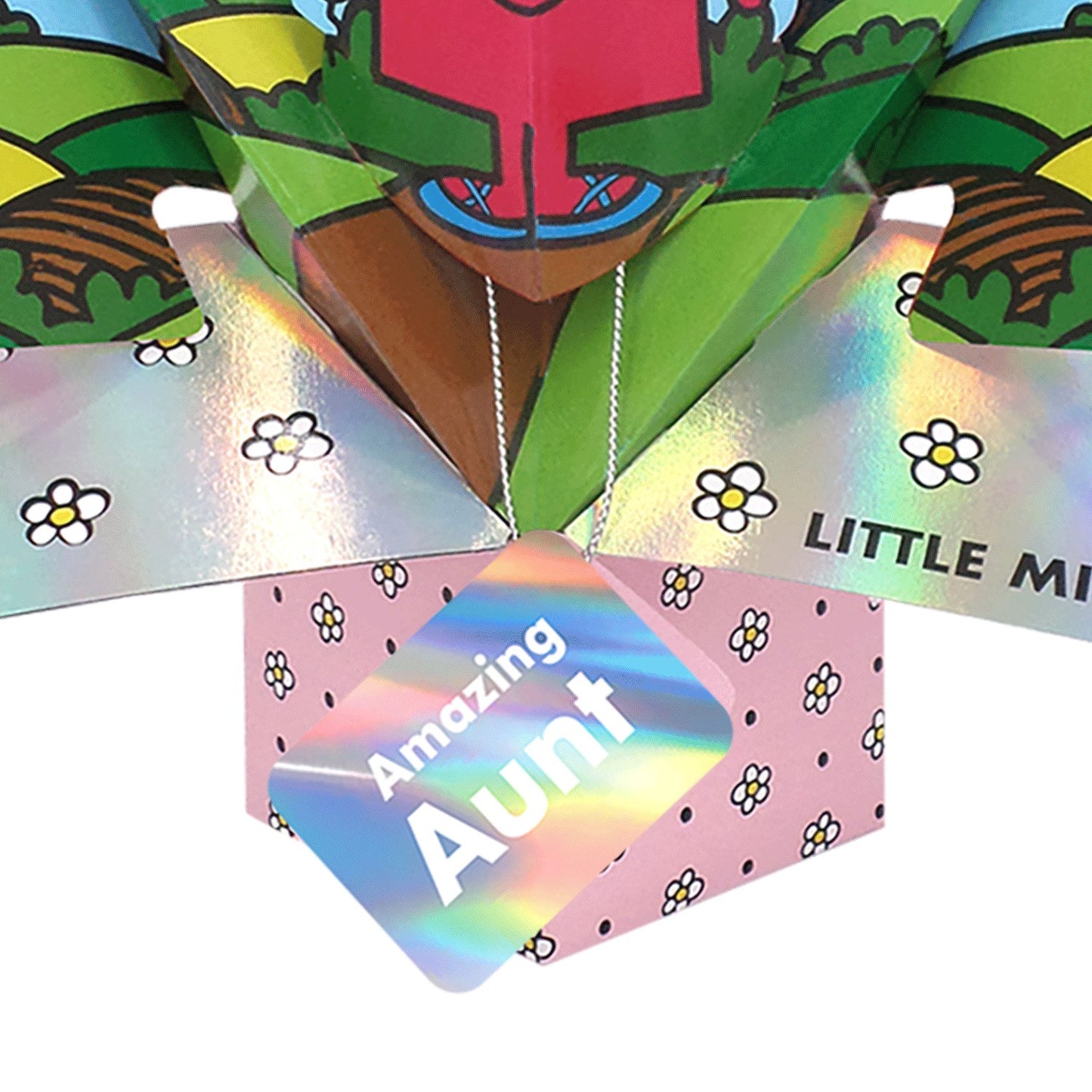 Mr. Men Little Miss Birthday Amazing  Aunt 3D Pop Up Card Keepsake Birthday Card