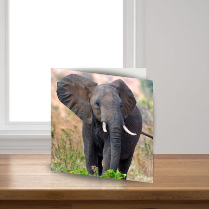 Elephant Sound Greeting Card