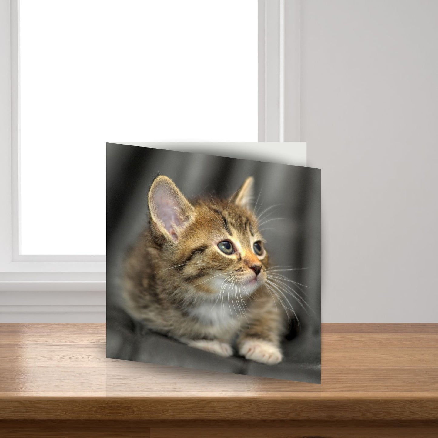 Cute Kitten Sound Greeting Card