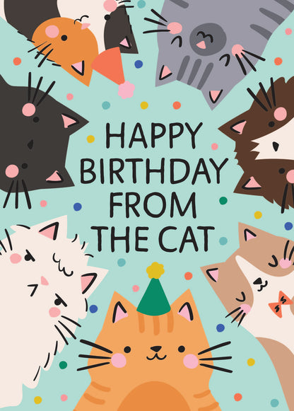 Scribbler Happy Birthday From The Cat Contemporary Birthday Greeting Card