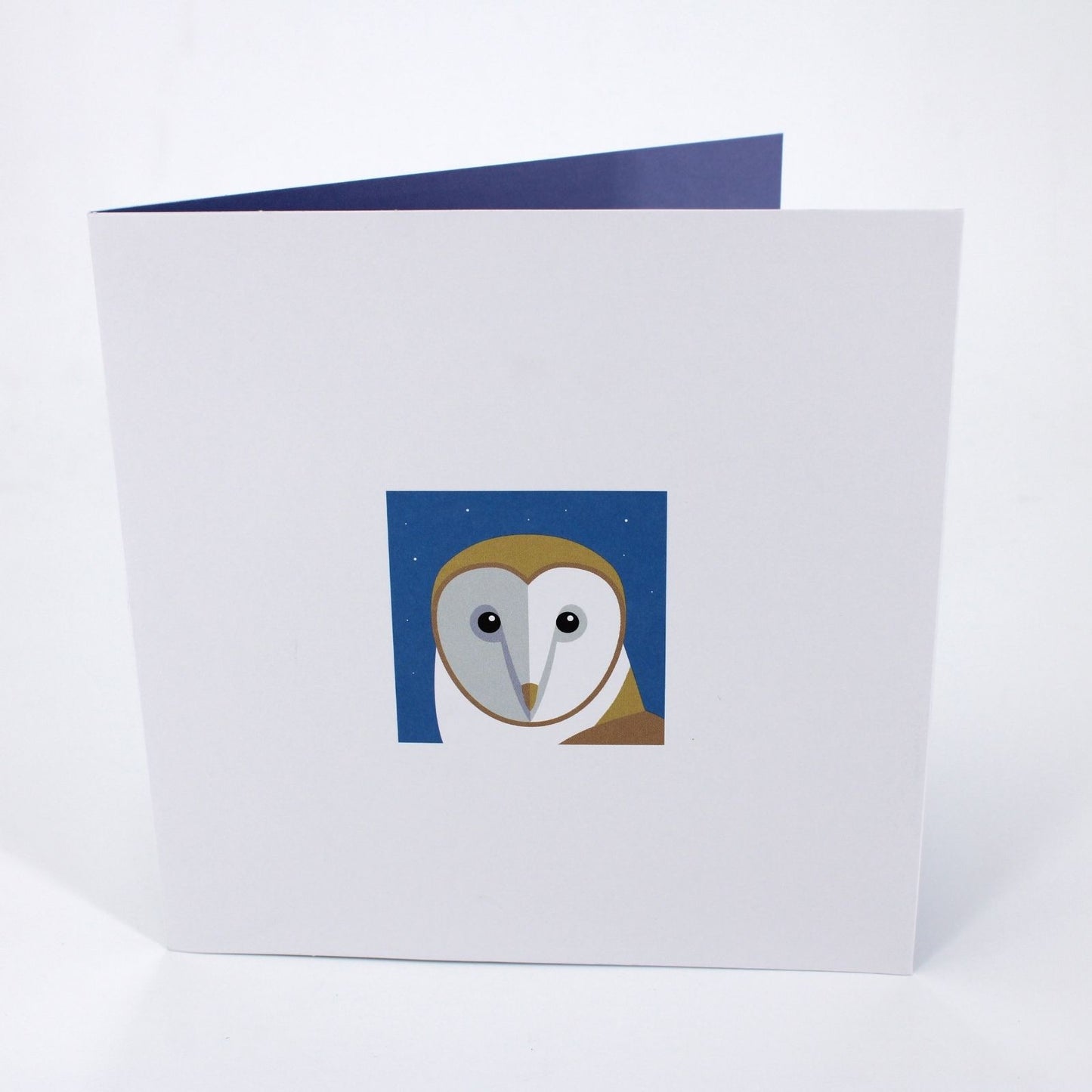 2toTango 3D Pop Up Card Owl In Flight Greeting Card Any Occasion