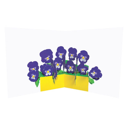 2toTango 3D Pop Up Card Floral Display Pansies Greeting Card Any Occasion