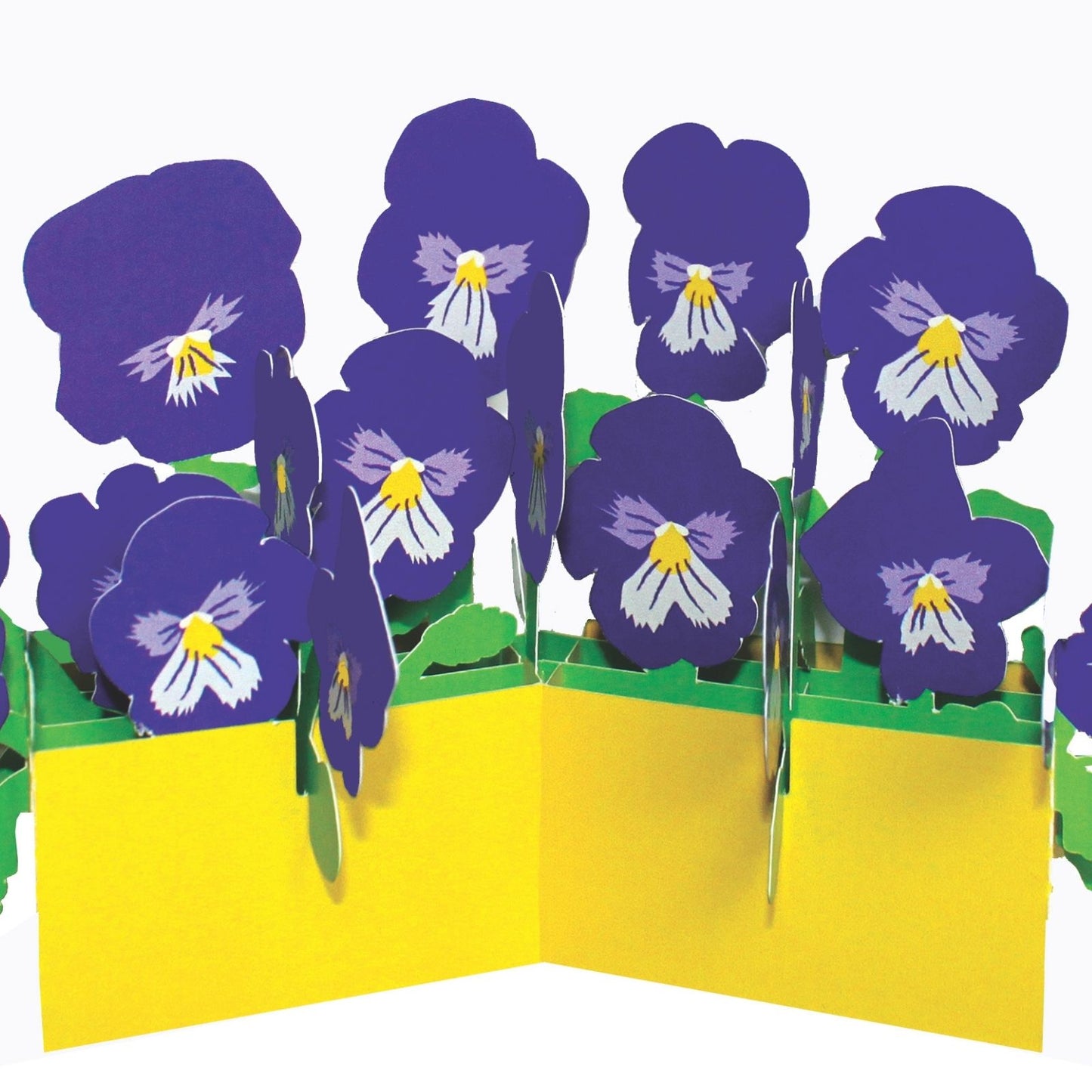 2toTango 3D Pop Up Card Floral Display Pansies Greeting Card Any Occasion