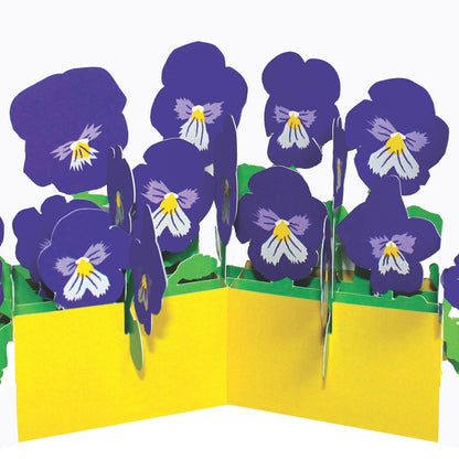 2toTango 3D Pop Up Card Floral Display Pansies Greeting Card Any Occasion