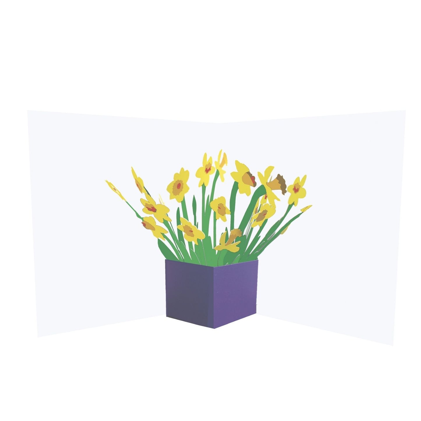 2toTango 3D Pop Up Card Floral Display Daffodils Greeting Card Any Occasion