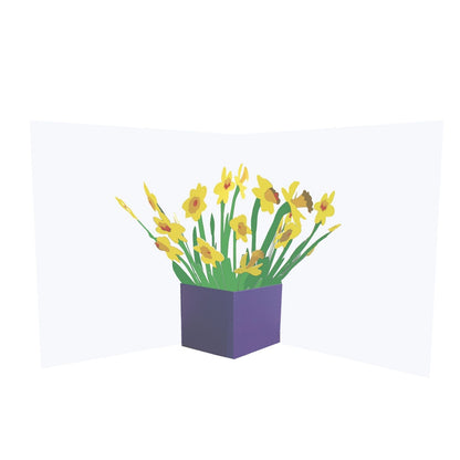 2toTango 3D Pop Up Card Floral Display Daffodils Greeting Card Any Occasion