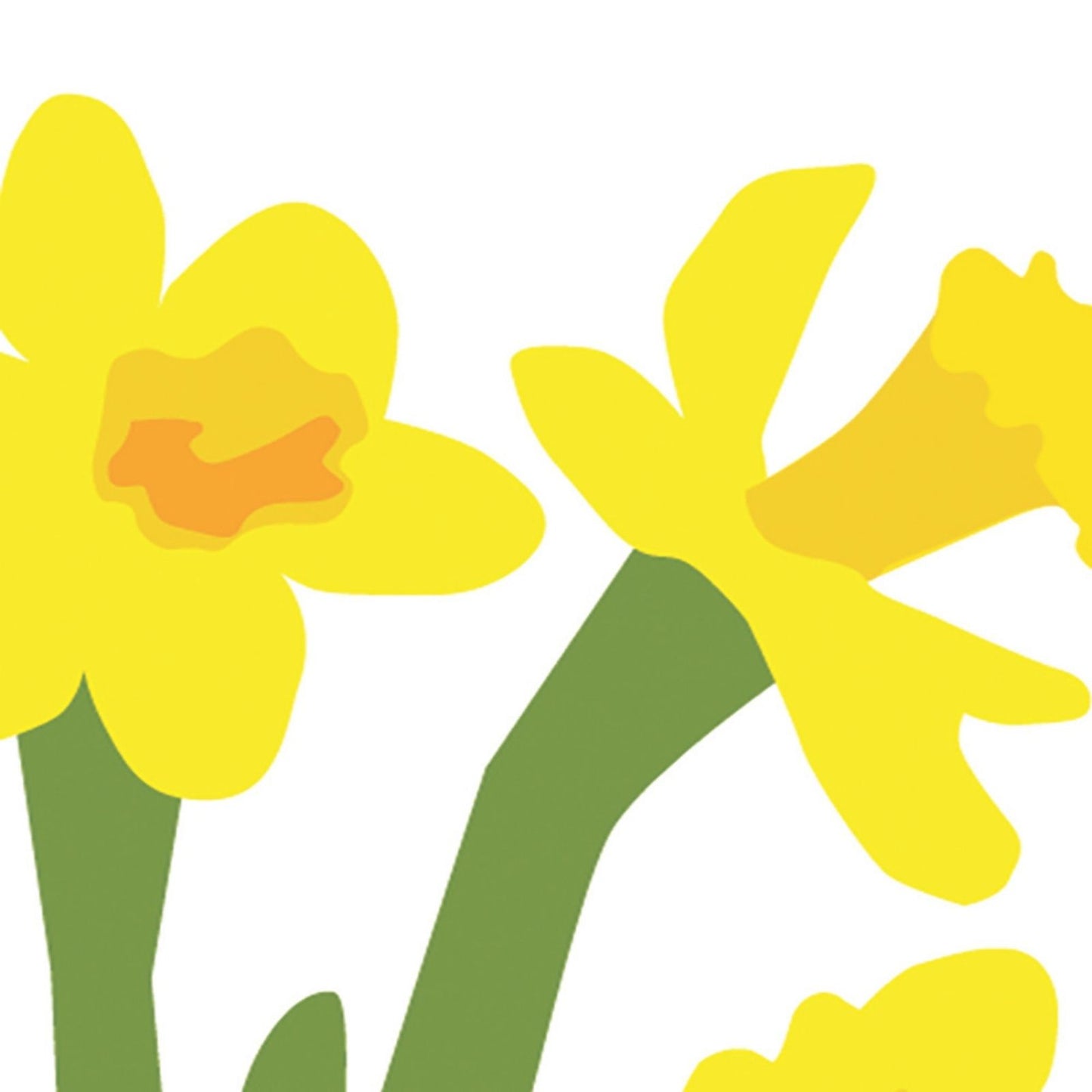 2toTango 3D Pop Up Card Floral Display Daffodils Greeting Card Any Occasion