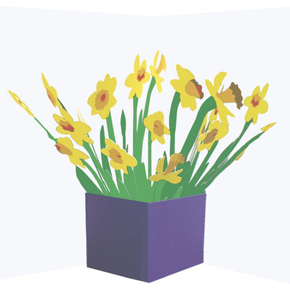 2toTango 3D Pop Up Card Floral Display Daffodils Greeting Card Any Occasion
