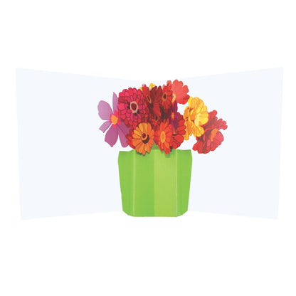 2toTango 3D Pop Up Card Gerbera Bouquet Greeting Card Any Occasion
