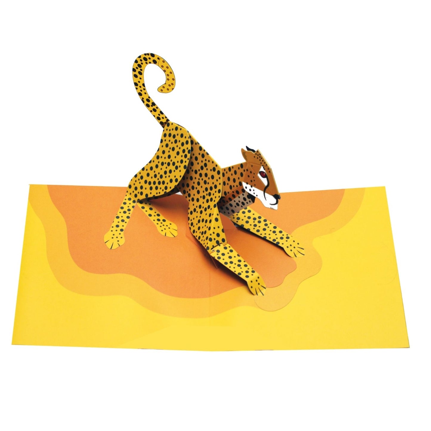 2toTango 3D Pop Up Card Spotted Cheetah Greeting Card Any Occasion