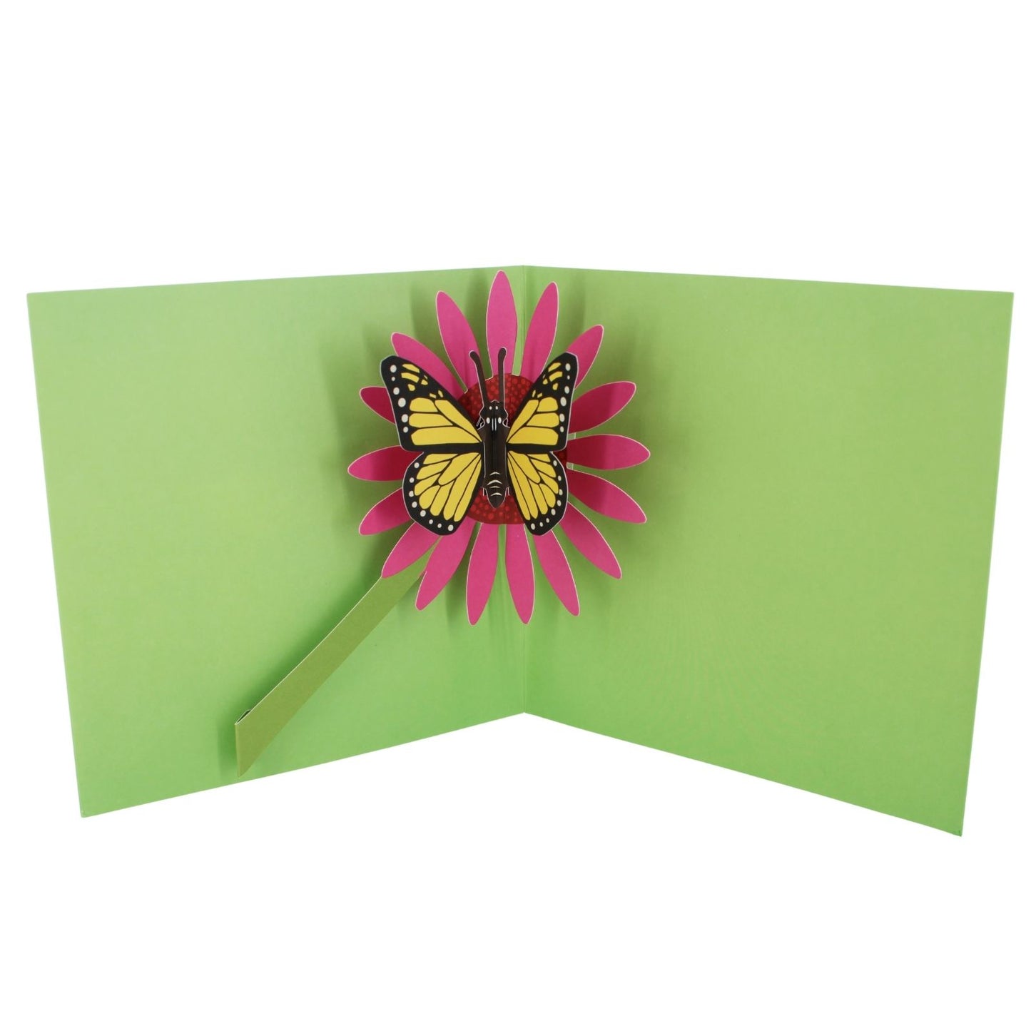2toTango 3D Pop Up Card Butterfly On A Flower Greeting Card Any Occasion
