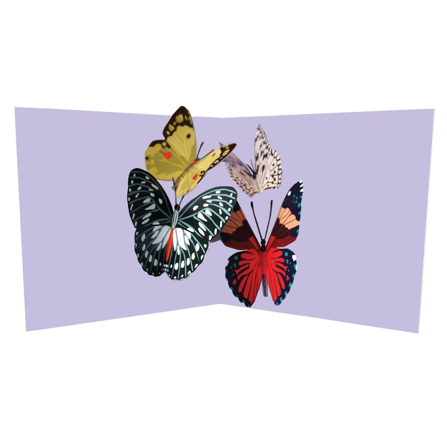 2toTango 3D Pop Up Card Colourful Butterflies Greeting Card Any Occasion