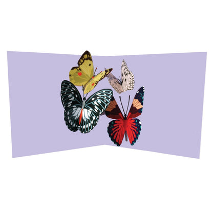 2toTango 3D Pop Up Card Colourful Butterflies Greeting Card Any Occasion