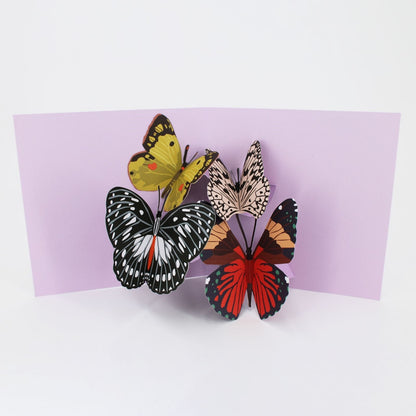2toTango 3D Pop Up Card Colourful Butterflies Greeting Card Any Occasion
