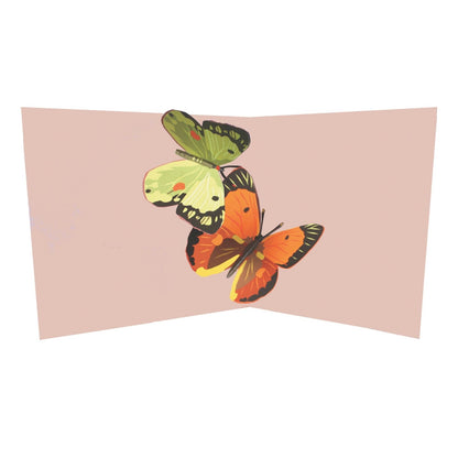 2toTango 3D Pop Up Card Two Colourful Butterflies Greeting Card Any Occasion