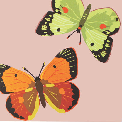 2toTango 3D Pop Up Card Two Colourful Butterflies Greeting Card Any Occasion
