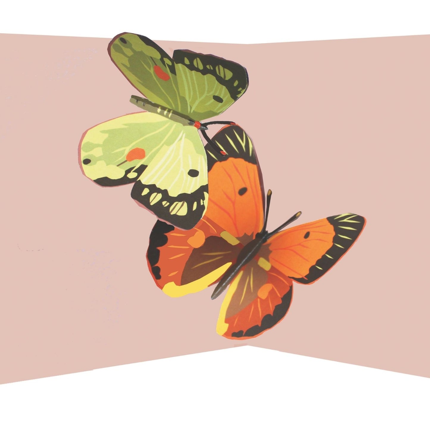 2toTango 3D Pop Up Card Two Colourful Butterflies Greeting Card Any Occasion