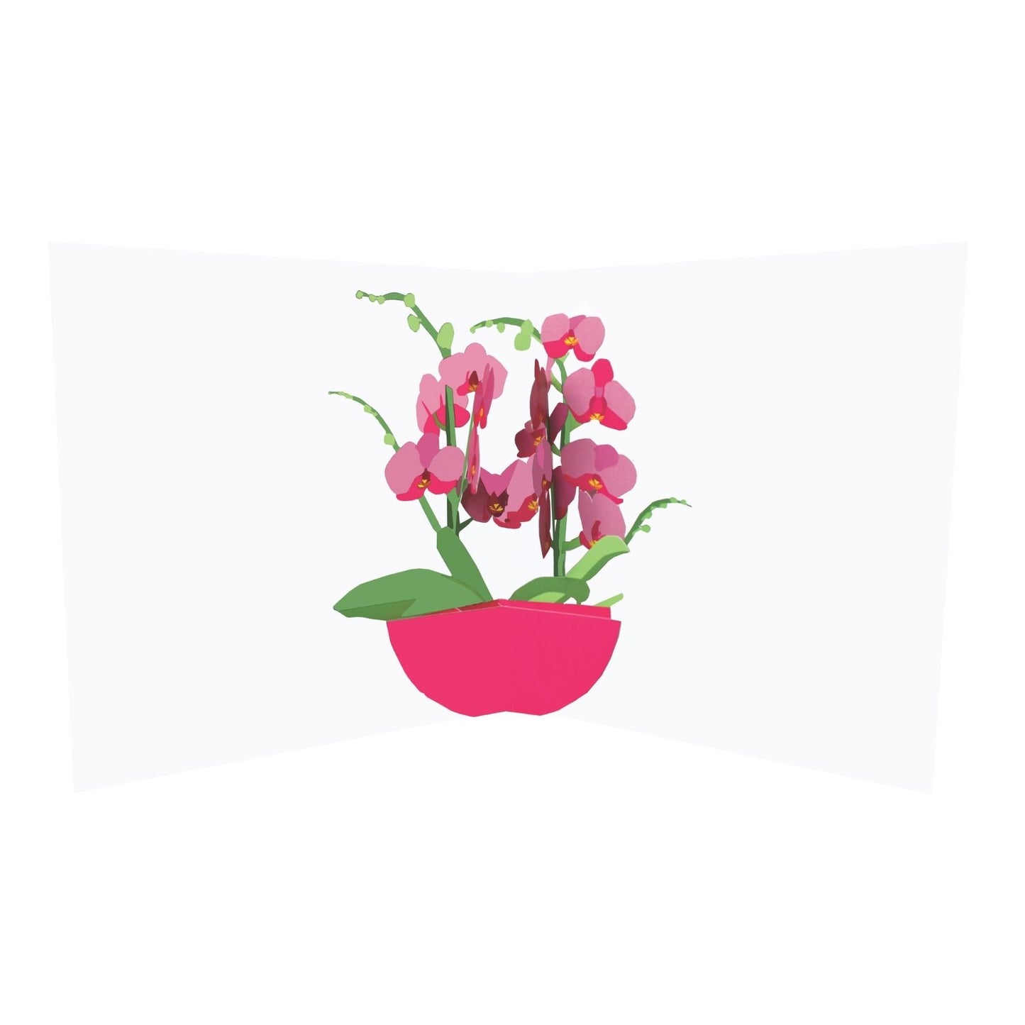 2toTango 3D Pop Up Card Pink Orchids Greeting Card Any Occasion