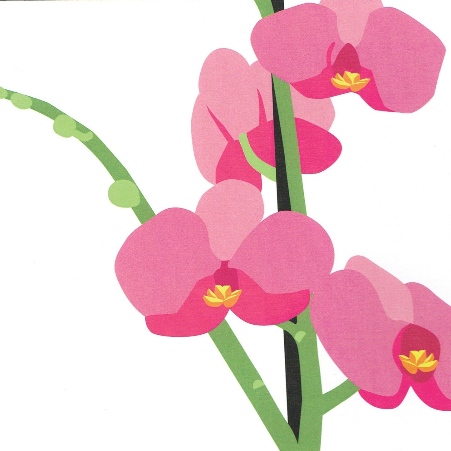 2toTango 3D Pop Up Card Pink Orchids Greeting Card Any Occasion