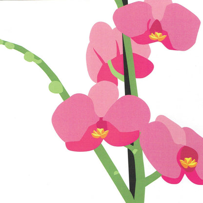 2toTango 3D Pop Up Card Pink Orchids Greeting Card Any Occasion