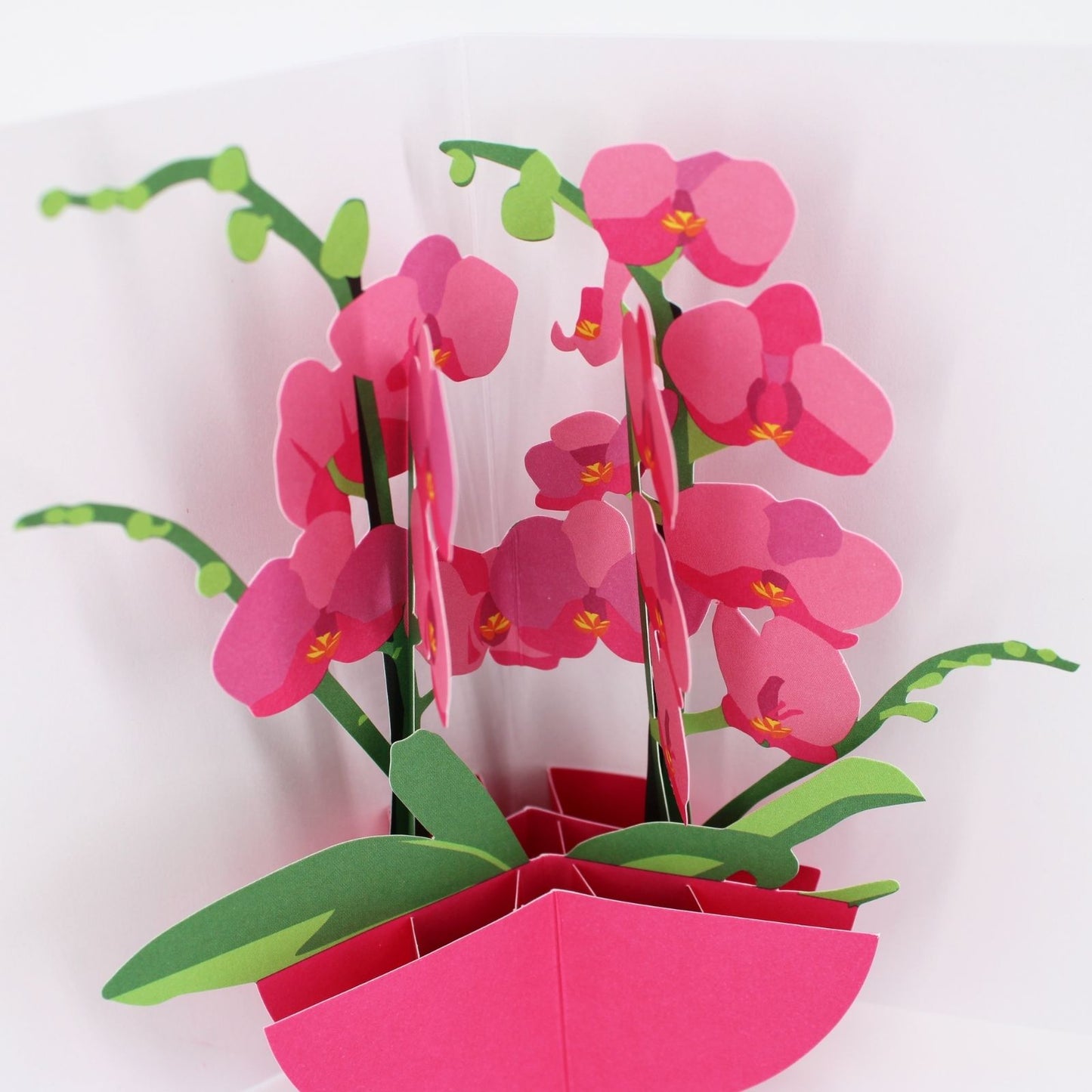 2toTango 3D Pop Up Card Pink Orchids Greeting Card Any Occasion