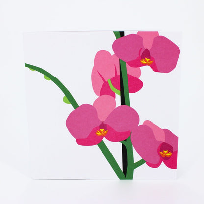 2toTango 3D Pop Up Card Pink Orchids Greeting Card Any Occasion