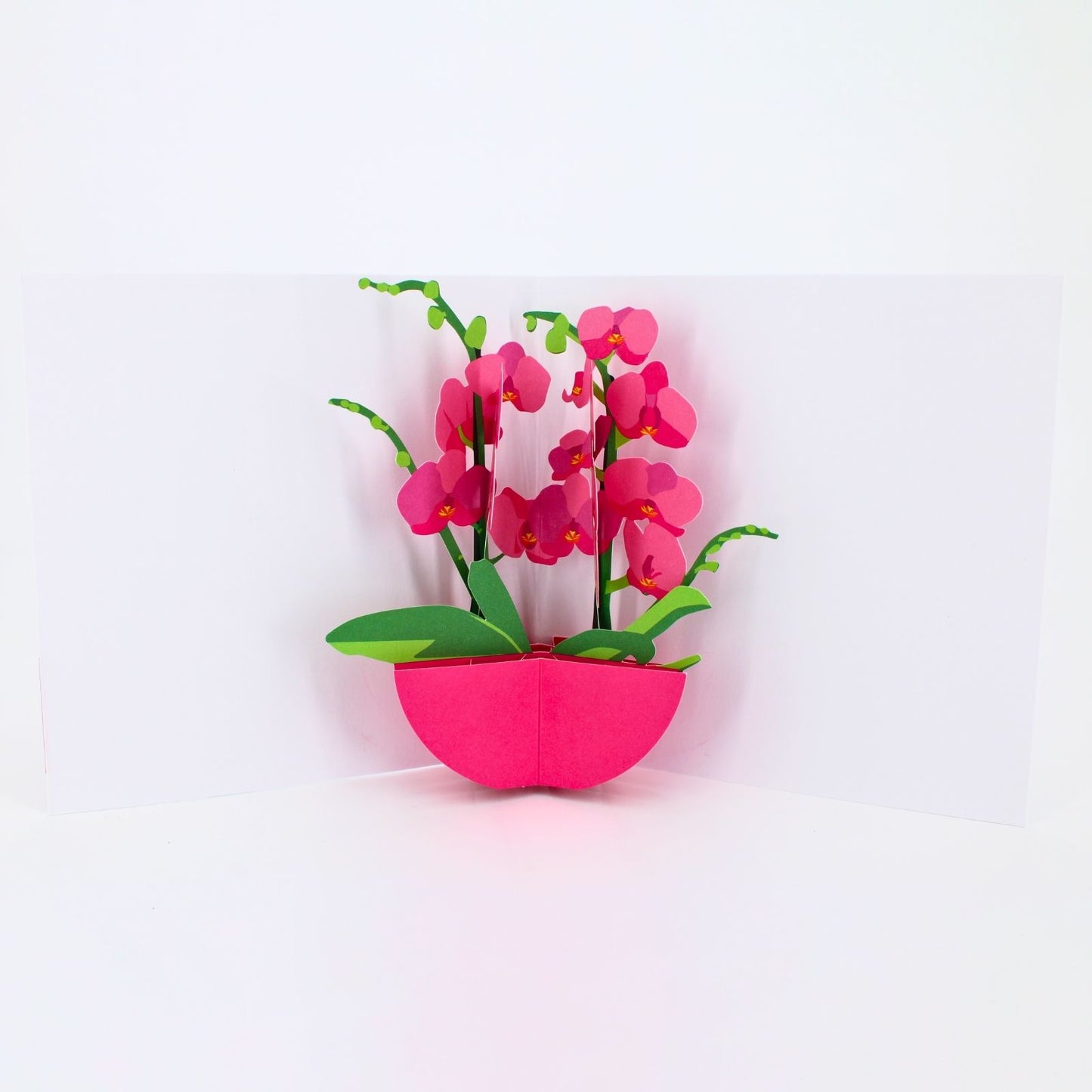 2toTango 3D Pop Up Card Pink Orchids Greeting Card Any Occasion
