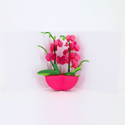2toTango 3D Pop Up Card Pink Orchids Greeting Card Any Occasion