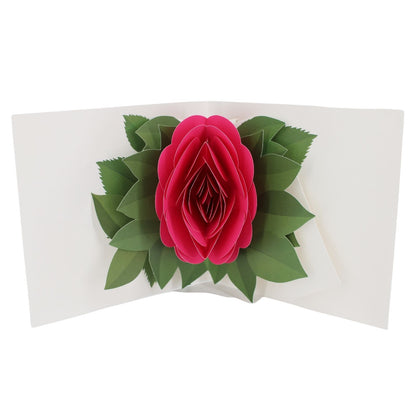 2toTango 3D Pop Up Card Single Pink Rose Greeting Card Any Occasion