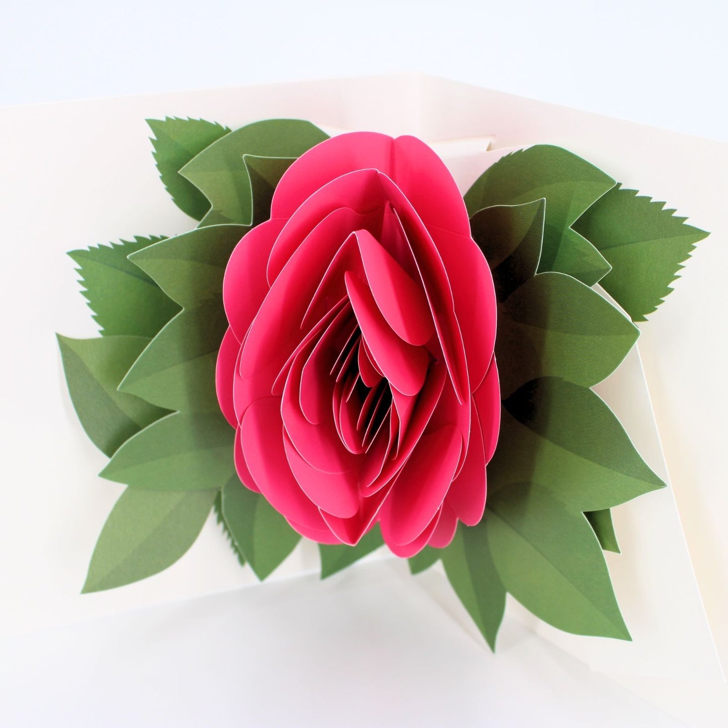 2toTango 3D Pop Up Card Single Pink Rose Greeting Card Any Occasion