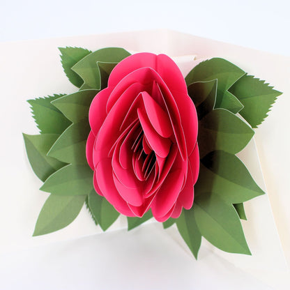 2toTango 3D Pop Up Card Single Pink Rose Greeting Card Any Occasion