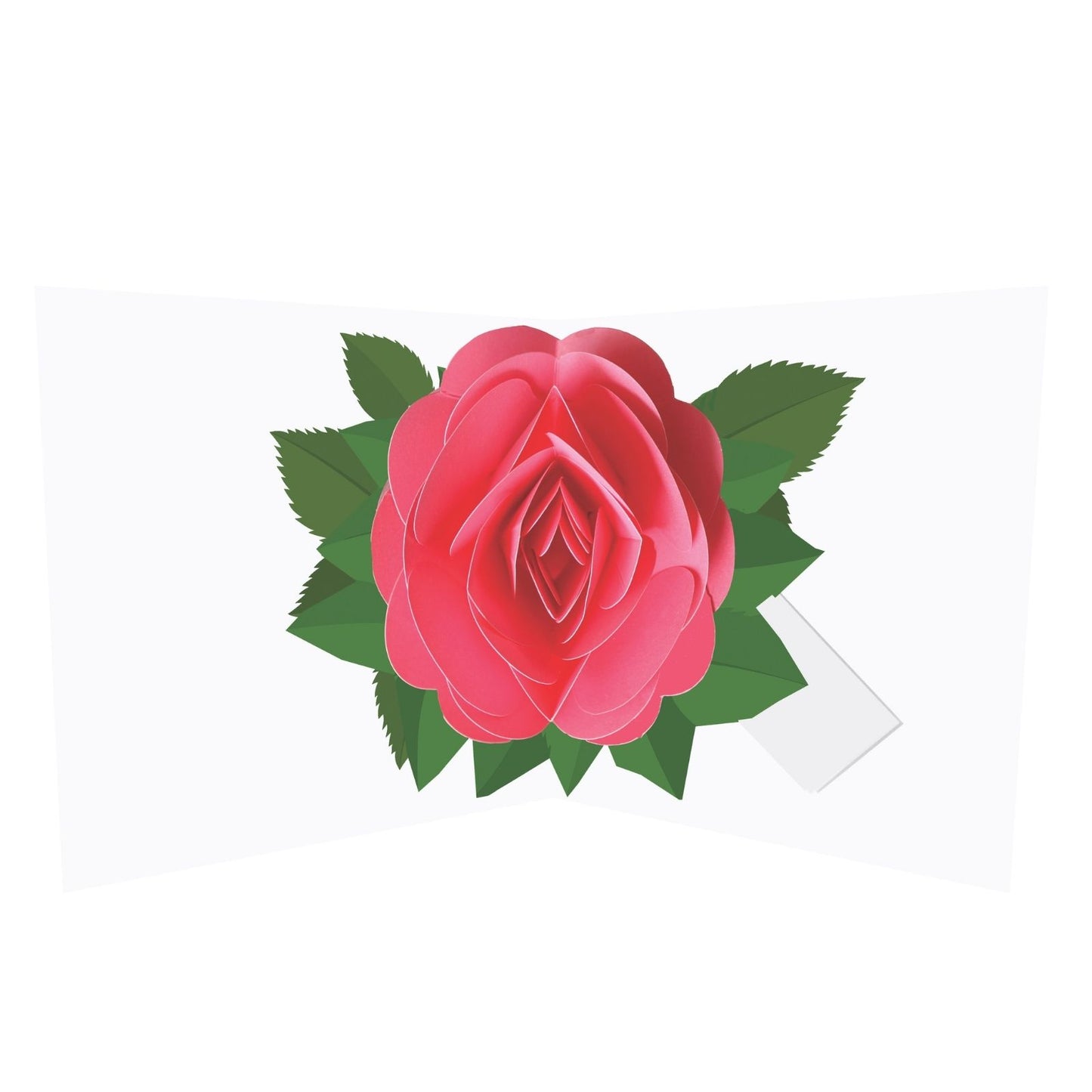 2toTango 3D Pop Up Card Single Pink Rose Greeting Card Any Occasion