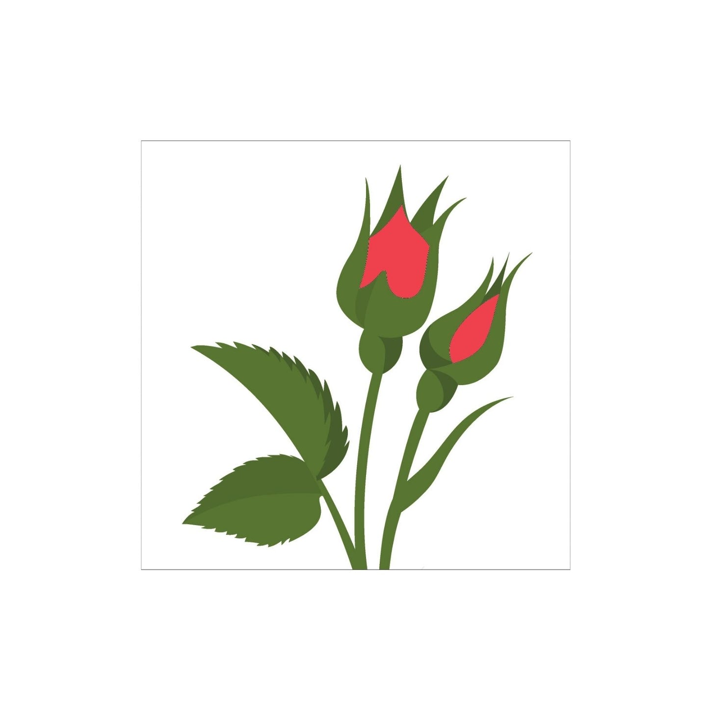 2toTango 3D Pop Up Card Single Red Rose Greeting Card Any Occasion